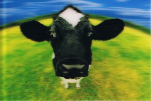 Tschechische Republik