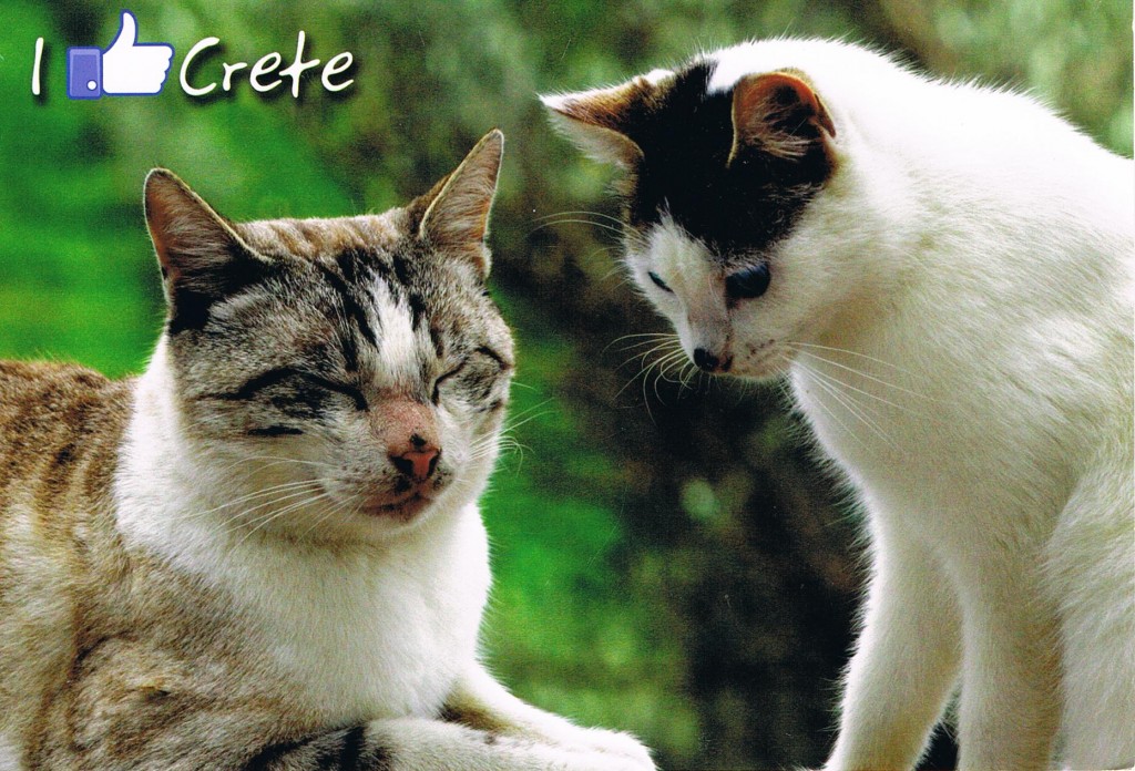 "I like Crete" aus Russland