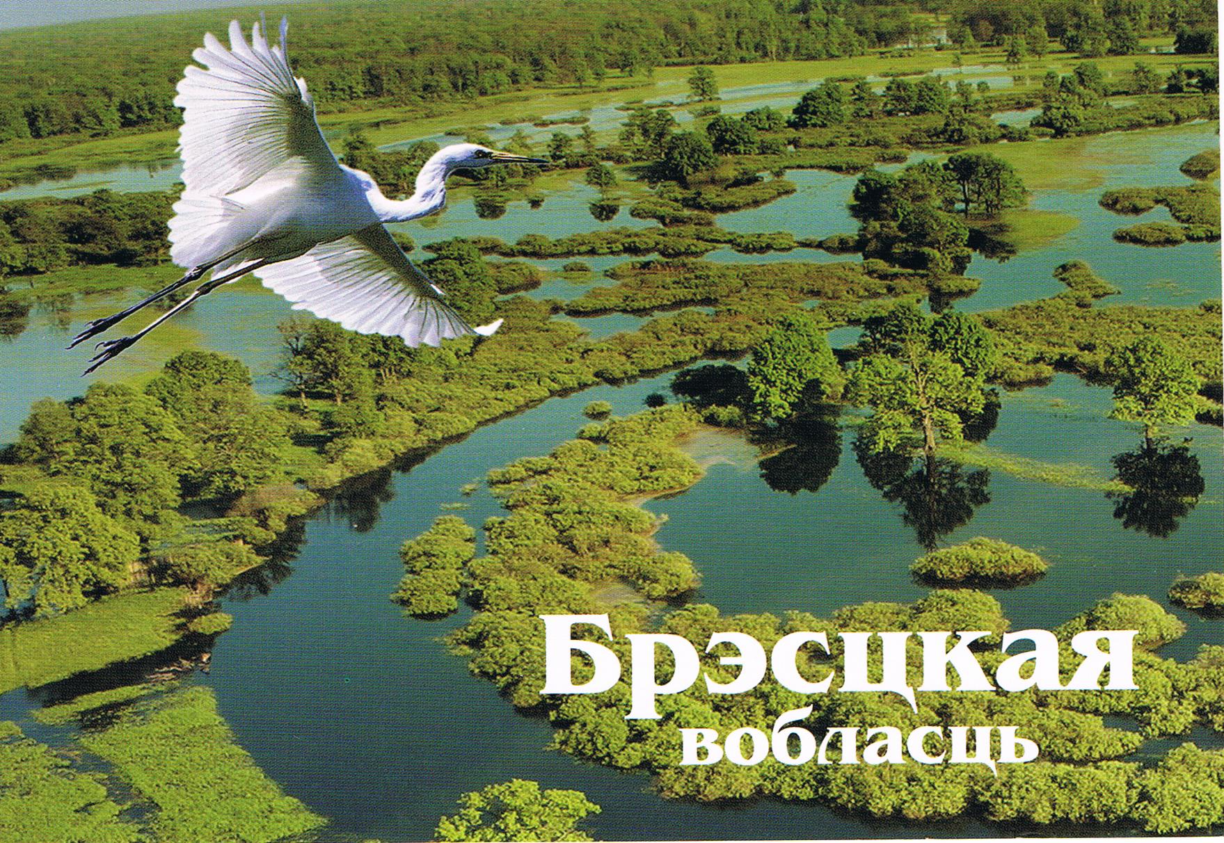 Weißrussische Landschaft