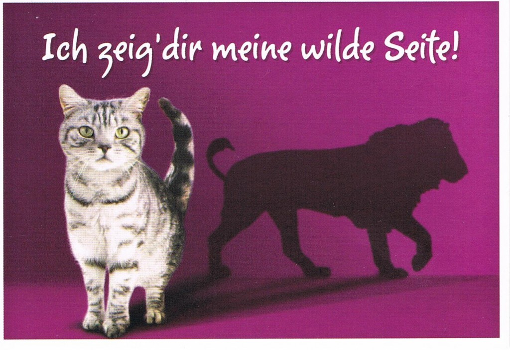 Whiskas-Postkarte aus Deutschland