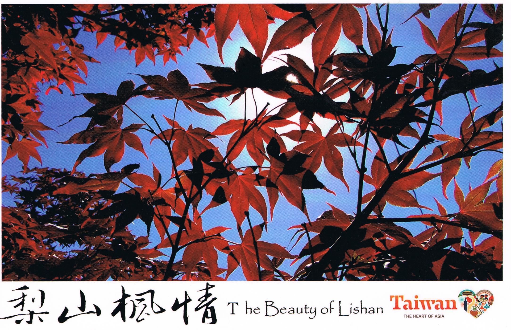 The Beauty of Lishan - Taiwan